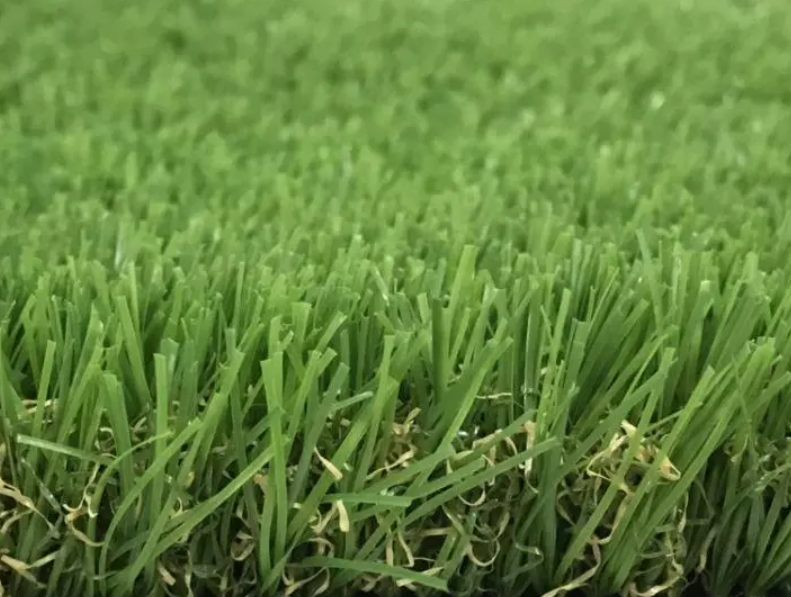 Green Lawn Grass