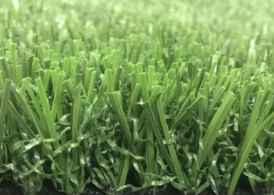 Multi-sport Turf