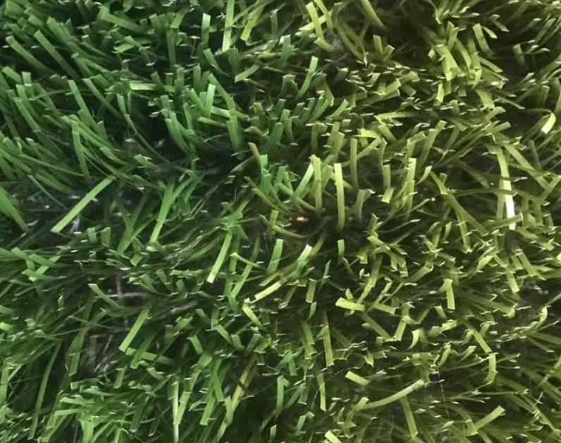 Rugby Surface Turf